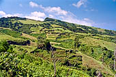 Azzorre, Isola di San Miguel - Escursione a Sete Cidades.  Lungo il sentiero che percorre la cresta della Caldeira das Sete Cidades. Vista verso l'interno della caldera. 